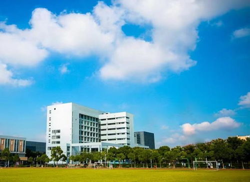 上海闵行职业技术学院(上海闵行职业技术学院怎么样) 上海闵行职业技术学院(上海闵行职业技术学院怎么样)