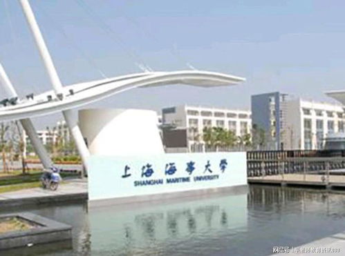 上海海事大学什么档次（海事最厉害三个专业）