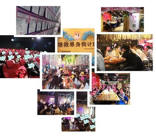 广东找姻缘的视频网站:广东人必看!这些视频相亲网站让你轻松找到命中注定的TA