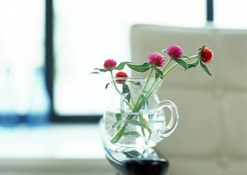 室内养什么花旺姻缘最好:室内养什么花旺姻缘最好?传统风水与科学结合的家居指南 室内养什么花旺姻缘最好:室内养什么花旺姻缘最好?传统风水与科学结合的家居指南