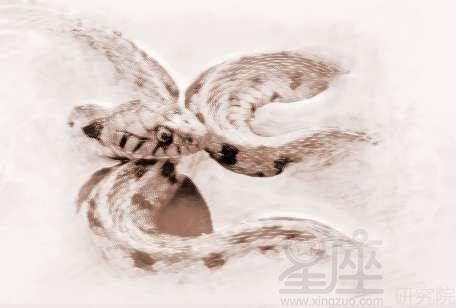 周公解梦 被蛇咬:周公解梦,被蛇咬的隐喻与启示 周公解梦 被蛇咬:周公解梦,被蛇咬的隐喻与启示