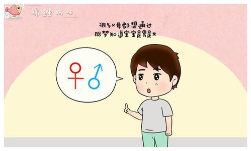 做梦梦到自己怀孕要生了:解密梦境,梦见怀孕即将分娩,你的潜意识在告诉你什么? 做梦梦到自己怀孕要生了:解密梦境,梦见怀孕即将分娩,你的潜意识在告诉你什么?