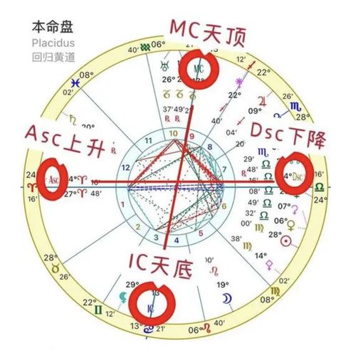 星盘主要看什么:星盘解析的核心要素,行星、宫位与相位的三维透视 星盘主要看什么:星盘解析的核心要素,行星、宫位与相位的三维透视