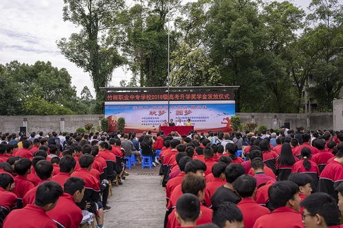 2025单招公办学校有哪些专业(2025单招公办学校有哪些专业山东) 2025单招公办学校有哪些专业(2025单招公办学校有哪些专业山东)