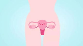 卵巢囊肿是什么原因造成的:卵巢囊肿是什么原因造成的?揭秘女性健康隐患 卵巢囊肿是什么原因造成的:卵巢囊肿是什么原因造成的?揭秘女性健康隐患