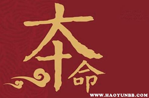 本命年牛结婚吉日:牛年本命年结婚吉日,传统与现代的完美结合