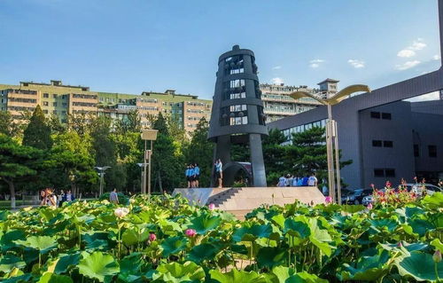 北京师范大学珠海校区(北京师范大学珠海校区是民办吗) 北京师范大学珠海校区(北京师范大学珠海校区是民办吗)