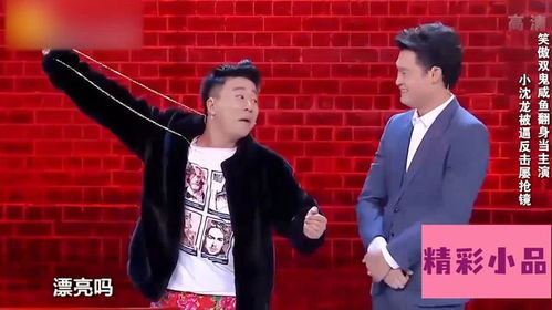小沈龙脱口秀全集播放:小沈龙脱口秀全集播放指南,笑料百出,欢乐无限!