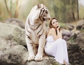 梦见老虎要吃我是什么意思:梦见老虎要吃我,解密梦境中的恐惧与隐喻