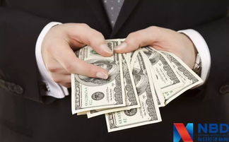 5月13日是什么日子:5月13日,国际日与特殊日交织的多彩时刻