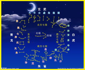 紫薇命盘:紫薇命盘,解码千年天象密码,解锁个人命运轨迹