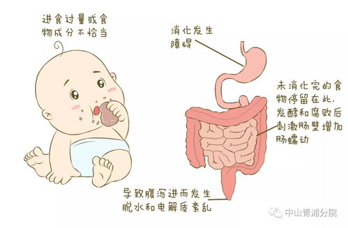 拉肚子是什么原因:拉肚子是什么原因?