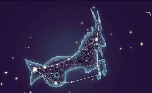 1月4日摩羯座性格特点:1月4日摩羯座,目标为锚,责任为翼—解析摩羯座核心性格特质