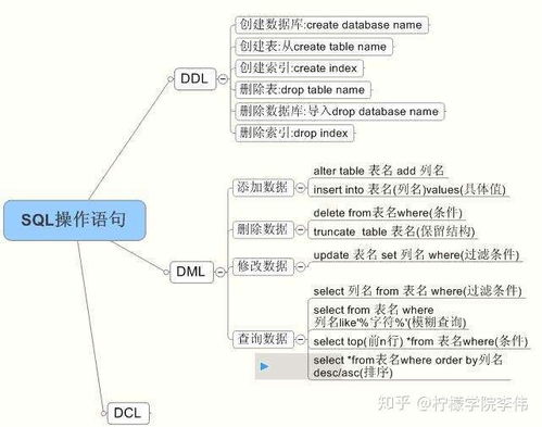 false是什么意思中文:false是什么意思中文?编程与逻辑中的含义解析 false是什么意思中文:false是什么意思中文?编程与逻辑中的含义解析