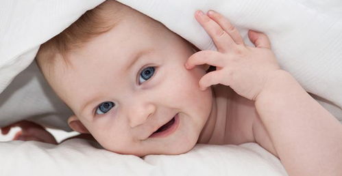 口腔溃疡怎么办最快愈合:口腔溃疡怎么办最快愈合,快速修复指南 口腔溃疡怎么办最快愈合:口腔溃疡怎么办最快愈合,快速修复指南