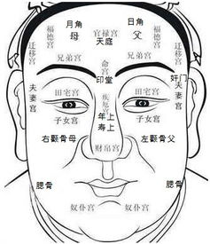 男人十种极贵面相:十种贵相面相解析,传统相学视角下的男性成功密码
