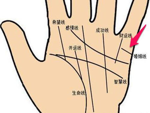 男人十种极贵面相:十种贵相面相解析,传统相学视角下的男性成功密码 男人十种极贵面相:十种贵相面相解析,传统相学视角下的男性成功密码