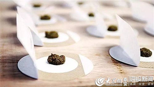 补肾精药最厉害三药:补肾精药最强三药,中医专家推荐的黄金组合!