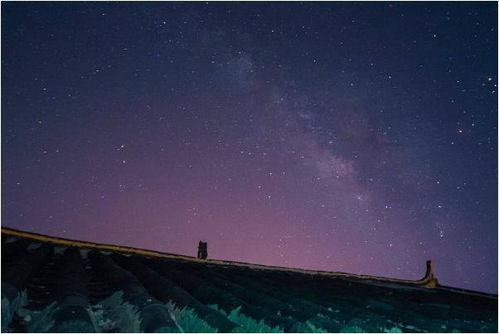 梦见雪周公解梦原版:梦见雪周公解梦原版,雪的梦境启示