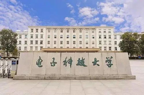 上海电子信息职业技术学院(上海电子职业技术学院升本了吗)