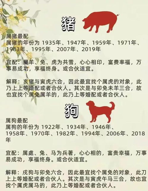生肖配对表:十二生肖配对表,科学解读传统婚恋智慧与现代情感指南 生肖配对表:十二生肖配对表,科学解读传统婚恋智慧与现代情感指南