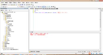 insert into翻译:insert into的翻译与用法解析 insert into翻译:insert into的翻译与用法解析