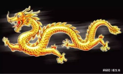 2024太岁年有哪些属相:2024太岁年运势指南,属龙、属蛇的避灾改运秘籍与全民注意事项 2024太岁年有哪些属相:2024太岁年运势指南,属龙、属蛇的避灾改运秘籍与全民注意事项