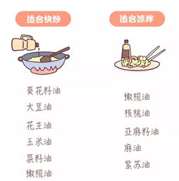 十二星座几岁变学霸:十二星座逆袭密码,你的大脑黄金发育期藏在哪个年龄?附精准学习指南 十二星座几岁变学霸:十二星座逆袭密码,你的大脑黄金发育期藏在哪个年龄?附精准学习指南