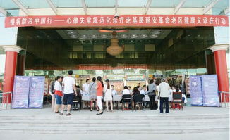 北京以岭药业和石家庄以岭药业:北京以岭药业与石家庄以岭药业,医药创新的双城协奏曲