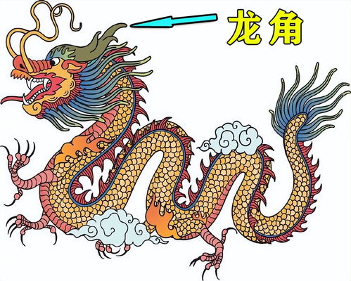 生肖龙斗不过的3个生肖:生肖龙斗不过的3个生肖,揭秘命理中的制衡法则 生肖龙斗不过的3个生肖:生肖龙斗不过的3个生肖,揭秘命理中的制衡法则