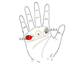 手相看姻缘分析准吗:手相看姻缘分析准吗?传统文化与现代科学的碰撞 手相看姻缘分析准吗:手相看姻缘分析准吗?传统文化与现代科学的碰撞