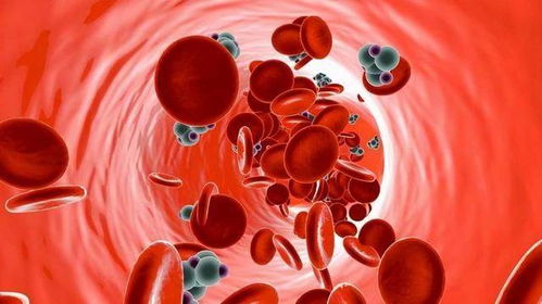 常吃三七粉对血管的害处:常吃三七粉,小心血管暗藏危机!这些危害你必须知道