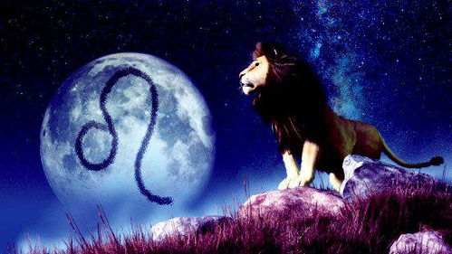 狮子座男生在床上有多可怕:狮子座男生在床上的统治力,热情与威严的完美融合