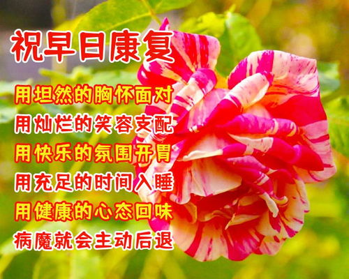 结婚吉日话语简短大全图片:结婚吉日指南,简短祝福语与精美图片全攻略