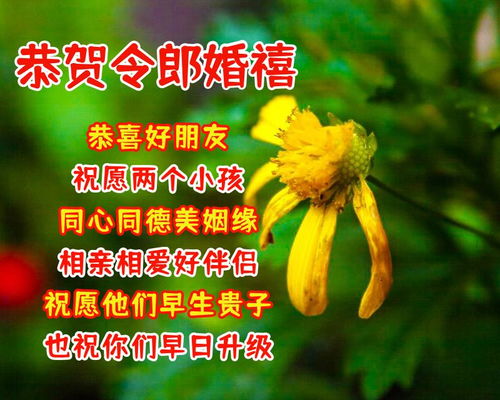 结婚吉日话语简短大全图片:结婚吉日指南,简短祝福语与精美图片全攻略 结婚吉日话语简短大全图片:结婚吉日指南,简短祝福语与精美图片全攻略