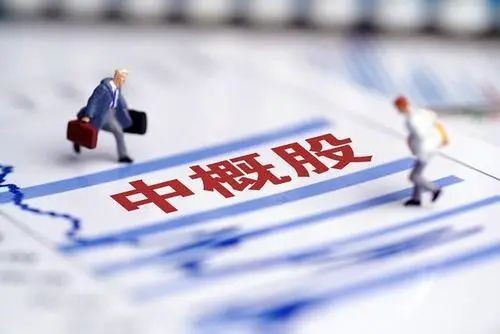 赛默飞世尔宣布50亿美元回购计划,维持股息不变