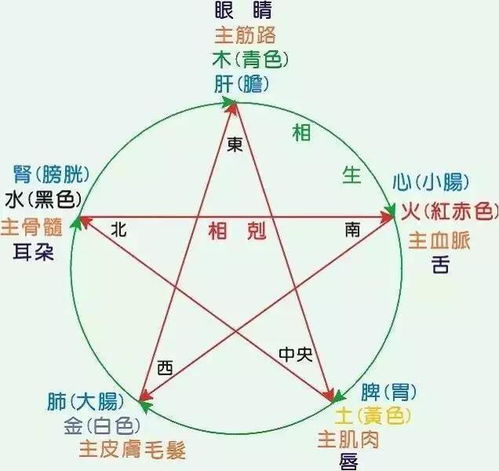 十二星座与五行对照表:东西方星象智慧融合,十二星座与五行对照全解析 十二星座与五行对照表:东西方星象智慧融合,十二星座与五行对照全解析
