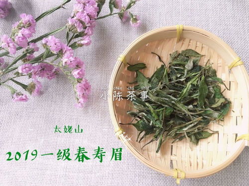 荠菜图片大全大图:荠菜图片大全大图,教你识别、采摘和烹饪美味荠菜