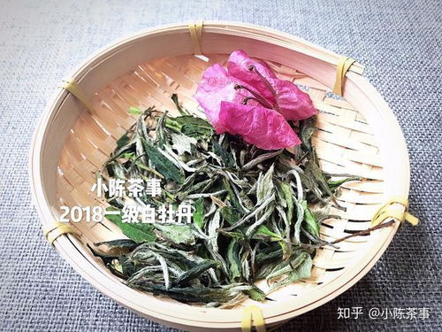 荠菜图片大全大图:荠菜图片大全大图,教你识别、采摘和烹饪美味荠菜 荠菜图片大全大图:荠菜图片大全大图,教你识别、采摘和烹饪美味荠菜