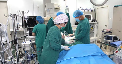 微创人流手术大概多少钱:微创人流手术价格大揭秘,看完别慌!