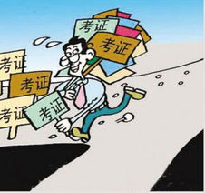 为什么说单招是坑(为什么走单招这条路)