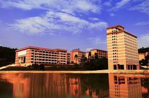 广州东华职业学院(广州东华职业学院邮政编码)