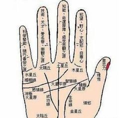 帝师讲解手掌姻缘线:揭秘帝师手相,掌中姻缘,天注定还是人为?