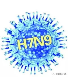h7n9禽流感是哪一年:H7N9禽流感,从禽类疾病到人类健康威胁的十年演变