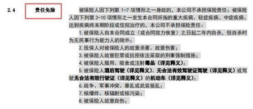 投保人应如何理解保险条款中的免责条款?