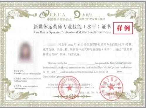 全日制自考本科(全日制自考本科什么意思)