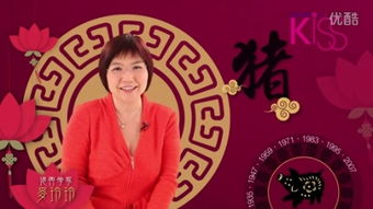 麦玲玲八字看姻缘:麦玲玲八字看姻缘,揭秘命理中的姻缘密码