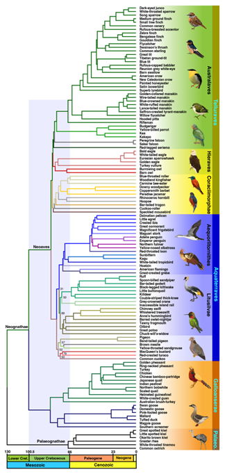 年历表全图：年历表全图，从历史演变到现代应用的全景解析
