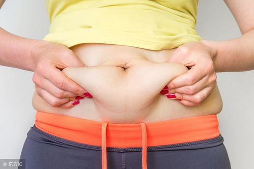 如何瘦身减肥:健康瘦身减肥指南,科学方法助你甩掉多余脂肪 如何瘦身减肥:健康瘦身减肥指南,科学方法助你甩掉多余脂肪
