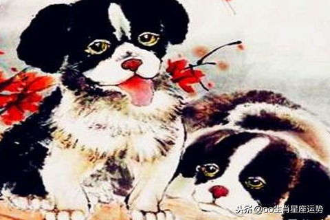 94年属什么生肖婚配:94年出生属狗人婚配指南,生肖配对与爱情建议 94年属什么生肖婚配:94年出生属狗人婚配指南,生肖配对与爱情建议